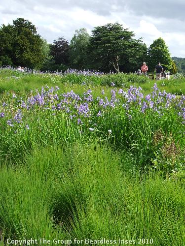 Trentham (4)